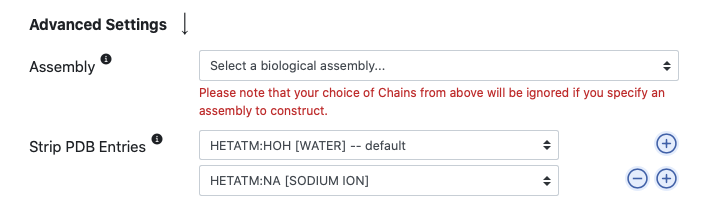 Screenshot of advanced settings on input page.